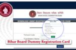 Bihar Board Matric Dummy Registration Card 2026: