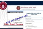 Bihar Board 12th Dummy Registration Card Download 2026: