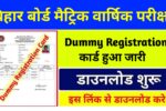 Bihar Board Matric Dummy Registration Card 2026