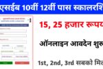 How to Apply Matric Pass Scholarship 2025: